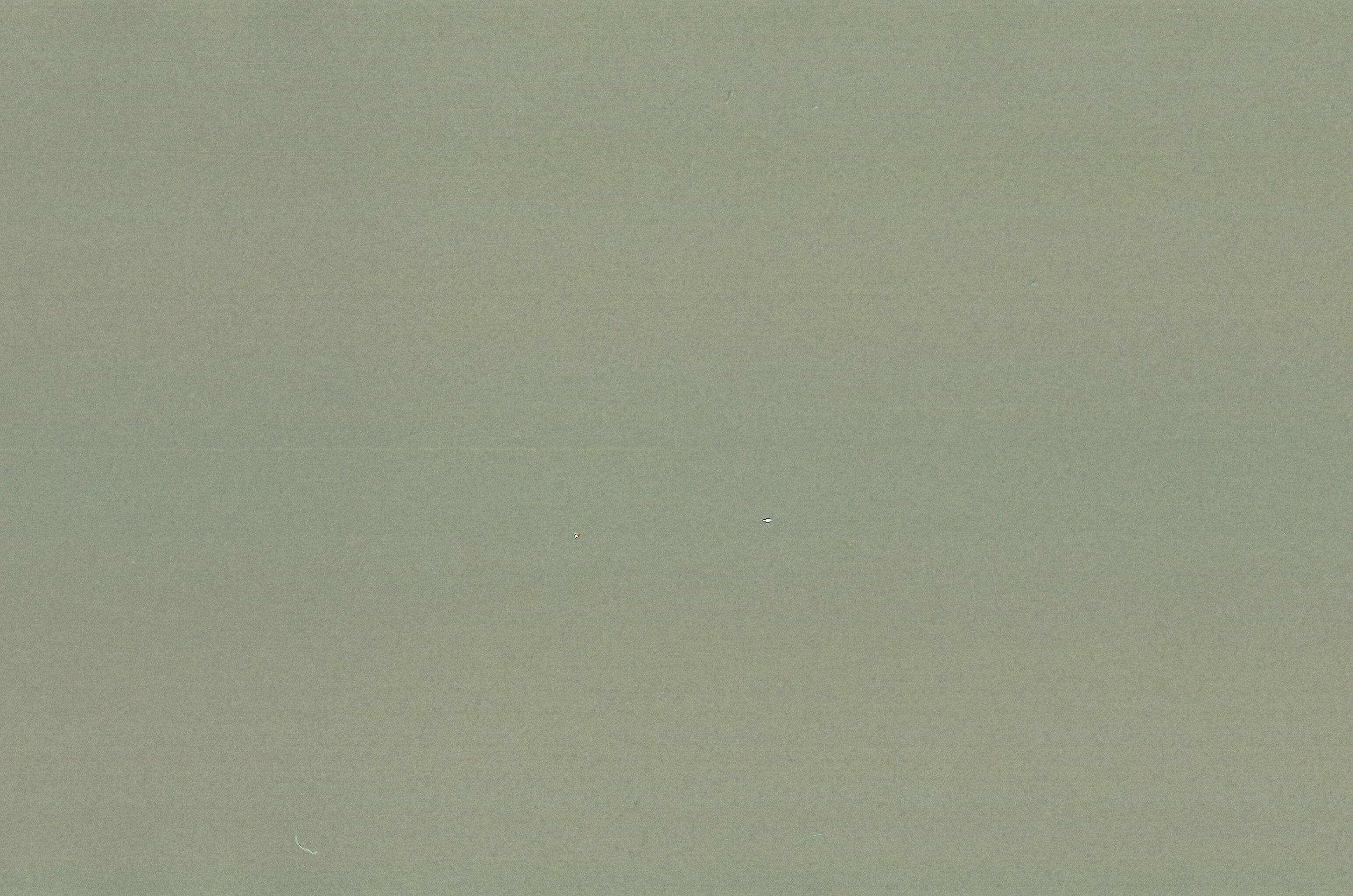 12540002.jpg