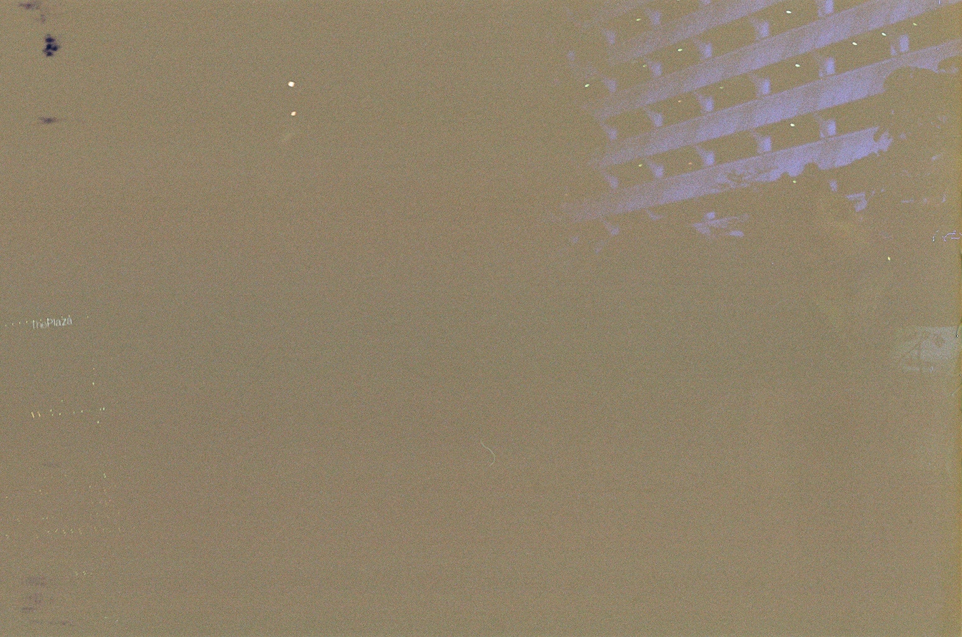 12280037.jpg